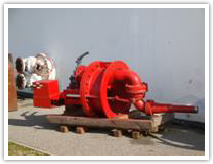 Mastir Cannons